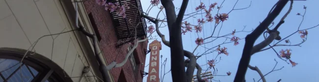 Dunbar Hotel - listing